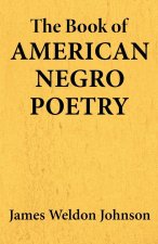 The Book of American Negro Poetry