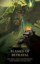 Flames of Betrayal