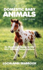 The 50 Cutest Domestic Baby Animals in the World