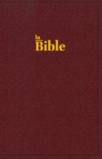 Bible Darby format standard, rigide grenat