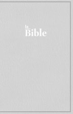 Bible Darby format compact, souple gris