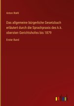 Das allgemeine bürgerliche Gesetzbuch erläutert durch die Sprachpraxis des k.k. obersten Gerichtshofes bis 1879