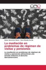 La mediación en problemas de régimen de visitas y pensiones