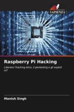 Raspberry Pi Hacking