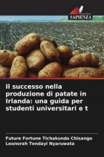 Il successo nella produzione di patate in Irlanda: una guida per studenti universitari e t