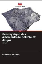 Géophysique des gisements de pétrole et de gaz