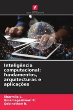 Inteligência computacional: fundamentos, arquitecturas e aplicações