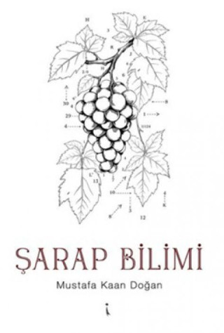 Sarap Bilimi