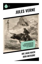Die Jagd nach dem Meteore