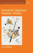 Essential Algebraic Number Theory
