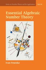 Essential Algebraic Number Theory