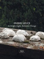 Ovidiu Leuce. In bright light, between things. Ediz. italiana e inglese