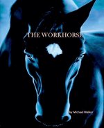 The Workhorse