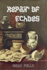 Repair of Echoes