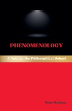 Phenomenology