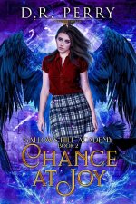 Chance At Joy