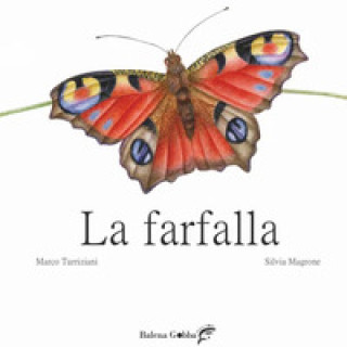 farfalla
