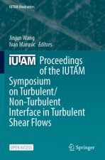 Proceedings of the IUTAM Symposium on Turbulent/Non-Turbulent Interface in Turbulent Shear Flows