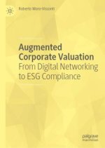 Augmented Corporate Valuation