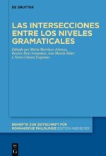 Las intersecciones entre los niveles gramaticales