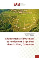 Changements climatiques et rendement d'ignames dans la Vina, Cameroun
