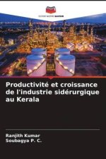 Productivité et croissance de l'industrie sidérurgique au Kerala