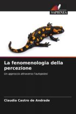 La fenomenologia della percezione