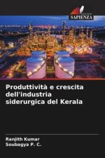 Produttività e crescita dell'industria siderurgica del Kerala