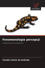 Fenomenologia percepcji