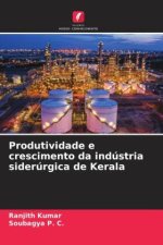 Produtividade e crescimento da indústria siderúrgica de Kerala