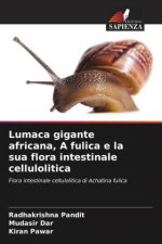 Lumaca gigante africana, A fulica e la sua flora intestinale cellulolitica
