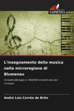 L'insegnamento della musica nella microregione di Blumenau