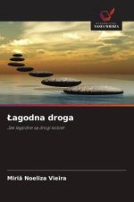 Lagodna droga