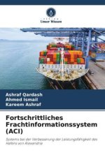 Fortschrittliches Frachtinformationssystem (ACI)