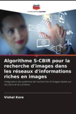 Algorithme S-CBIR pour la recherche d'images dans les réseaux d'informations riches en images