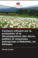 Facteurs influant sur la promotion et le développement des micro, petites et moyennes entreprises à Nekemte, en Éthiopie
