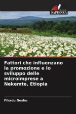 Fattori che influenzano la promozione e lo sviluppo delle microimprese a Nekemte, Etiopia