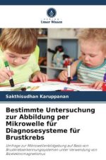 Bestimmte Untersuchung zur Abbildung per Mikrowelle für Diagnosesysteme für Brustkrebs