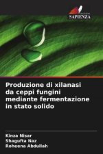 Produzione di xilanasi da ceppi fungini mediante fermentazione in stato solido