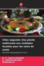 Vitex negundo: Une plante médicinale aux multiples facettes pour les soins de santé