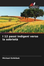 I 12 passi indigeni verso la sobrietà