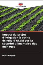 Impact du projet d'irrigation à petite échelle d'Akaki sur la sécurité alimentaire des ménages