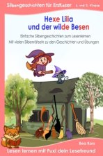 Hexe Lilia und der wilde Besen