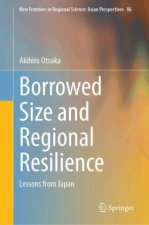 Borrowed Size and Regional Resilience