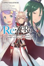 RE ZERO STARTING LIFE IN ANOTHER V05 LN