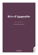 Rêve d'Agapanthe