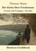Der kleine Herr Friedemann (Großdruck)