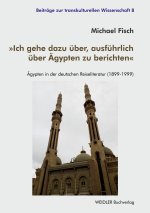 Ich gehe dazu über, ausführlich über Ägypten zu berichten