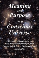 Meaning and Purpose in a Conscious Universe