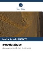 Beweisstücke